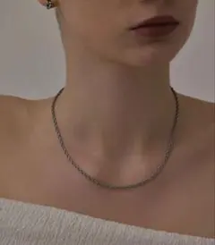 CENE セネ ブレイディドネックレス シルバー ツイストチェーンのサムネイル