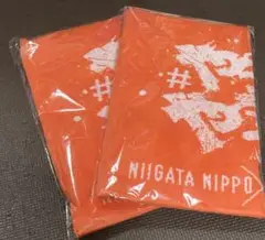 アルビレックス新潟　タオル