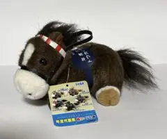 絶版プライズ 【SEGA】スーパーホース 年度代表馬ぬいぐるみトウカイテイオー