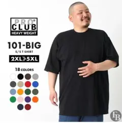 PRO CLUB ヘビーウェイトTシャツ 3XL