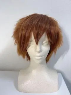 エーストラッポラ　ウィッグ