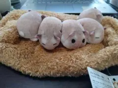 フェリシモ ぎゅうぎゅう集まって眠るハムスターのボックスティッシュカバー