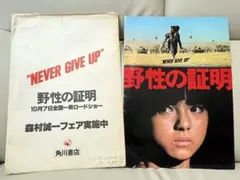 Item thumbnail for item f6486b82-fb85-42f3-8e24-226e994f7ccc