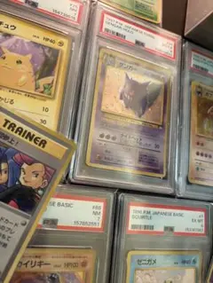 旧裏等まとめ売り】旧裏 DP Pt PSA ARS デルタ種等200枚以上 - メルカリ