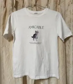 Honeys　半袖Tシャツ　白色猫柄　Мサイズ　美品