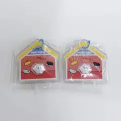MINITEEN パッケージチャーム&グミ　キーホルダー　ウジ ピョプリ