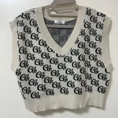 INGNI アイボリー Vネック ニットベスト