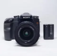 2025年最新】Sony α DSLR-A100の人気アイテム - メルカリ