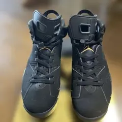 NIKE AIR JORDAN 6 RETRO DMP ハイカットスニーカ28