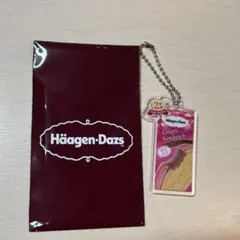 ハーゲンダッツ キーホルダー ショコラベリー