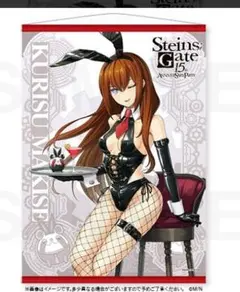 2026年最新】シュタインズゲート タペストリーの人気アイテム - メルカリ