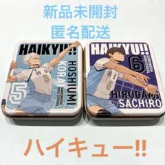 新品未開封品　ハイキュー‼︎ キャラタブ缶　バレンタイン　鴎台高校　星海光来　昼神