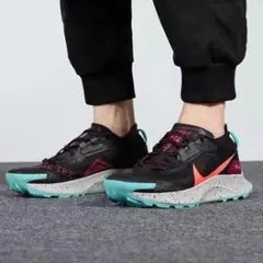2025年最新】nike ペガサストレイル3 gore-texの人気アイテム - メルカリ