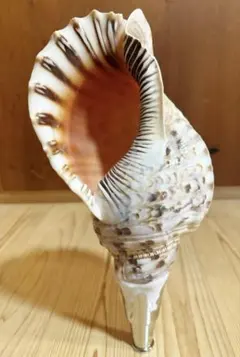 Item thumbnail for item 7928a78e-95fd-45e6-92ad-ce640aa3e4f7