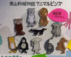 2025年最新】東山動物園 花井祐介の人気アイテム - メルカリ