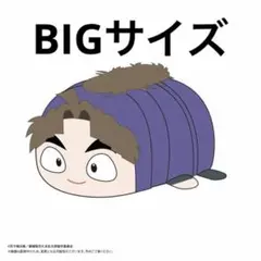 忍たま　ふわコロ　BIG 竹谷