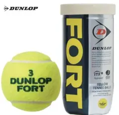 DUNLOP ダンロップ 「FORT フォート [2個入] 10缶　20球
