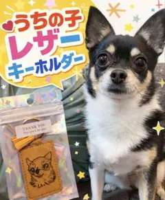 うちの子イラストキーホルダー✳︎レザーグッズ✳︎犬猫うさぎ✳︎誕生日プレゼント✳︎チワワ