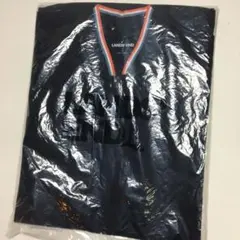 LANDS END ランズエンド ワンポイント 刺繍 ハーフジップ ポロシャツ