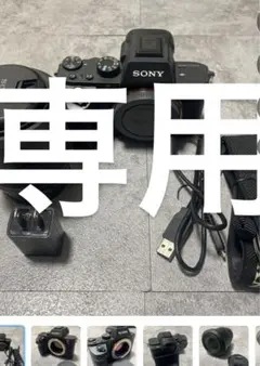 2026年最新】sony α7IIの人気アイテム - メルカリ
