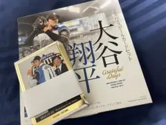 大谷翔平 2018bbm Grateful Days レギュラーカードセット！