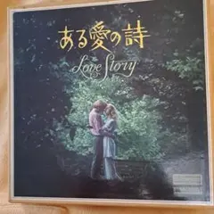 超希少【日本版劇場使用B2ポスター】ある愛の詩 Love Story - メルカリ