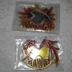 ヒロアカ　メタルチャーム