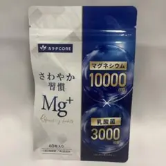 【定価¥1,480】さわやか習慣 Mg+ 60粒入 マグネシウム 乳酸菌 サプリ