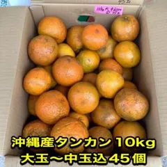 沖縄産 家庭用タンカン (約10kg )45個①
