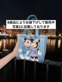 25周年　スーベニアランチケース　クリアバック　ハトメ加工　ディズニーのサムネイル