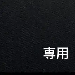 salt様 リクエスト 2点 まとめ商品