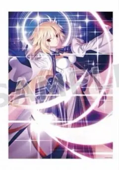 FGO Fate 月姫 タペストリー アーキタイプアース アルクェイド