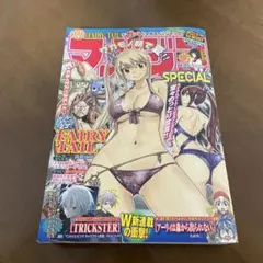マガジンSpecial まとめ売り　3冊セット　 フェアリーテイルグラビア