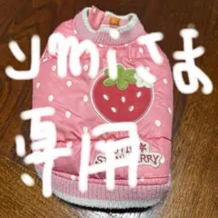 小型犬いちご柄ベスト