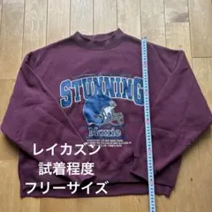 レイカズン　トレーナー　レディースフリーサイズ　美品