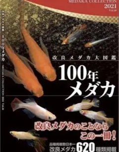 改良メダカ大図鑑 100年メダカ