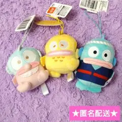 全4種セット ハンギョドン きどあいらくっ！カラフルマスコット