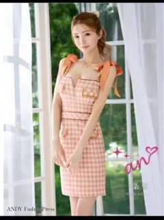 AN チェックドレス