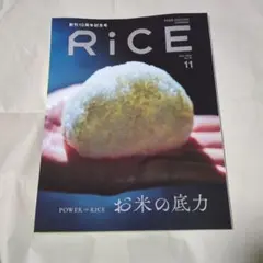 RiCE No.49 NOVEMBER 2026