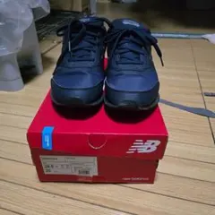 Item thumbnail for item ddc5ad80-bb65-45b6-944d-c63d36b0996c