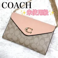 未使用級✨コーチ チェーンウォレット ミニショルダーバッグ ダビー C7301