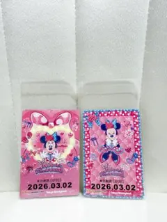 ミニー リゾラ リゾートライン フリーきっぷ