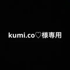 アルバムクラフト クラフトパンチ ペーパークラフト kumi.co♡様専用
