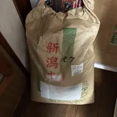 令和6年度福井県産いちほまれ30kg玄米 - メルカリ
