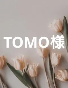 【TOMO様 専用】〜4月分お取り置き〜