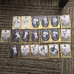 GENESIS オリックスセット