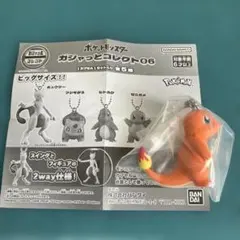 ポケットモンスター ガシャっとコレクト06 ヒトカゲ