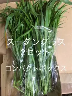 生牧草スーダングラス2セットコンパクトボックスのサムネイル