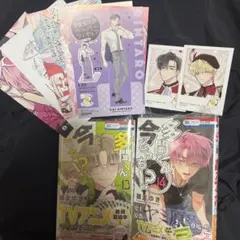 【新品・シュリンク付き】多聞くん、今どっち！？ 13巻14巻 2冊セット
