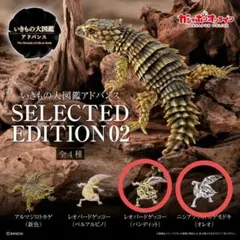 いきもの大図鑑アドバンス　ニシアフ　レオパ　2種セット